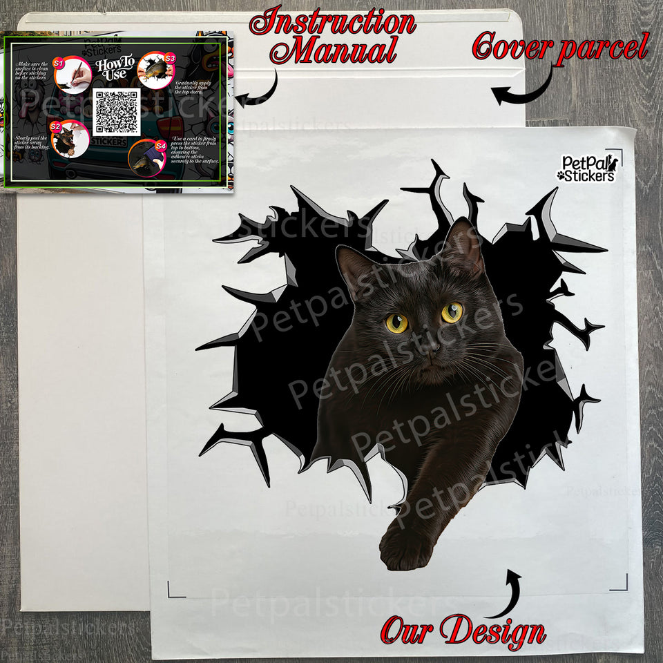 Carefully folded application instructions alongside the black cat decal package.