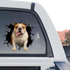 Vibrant Black English Bulldog standalone product design featuring an adorable wrinkled face.
