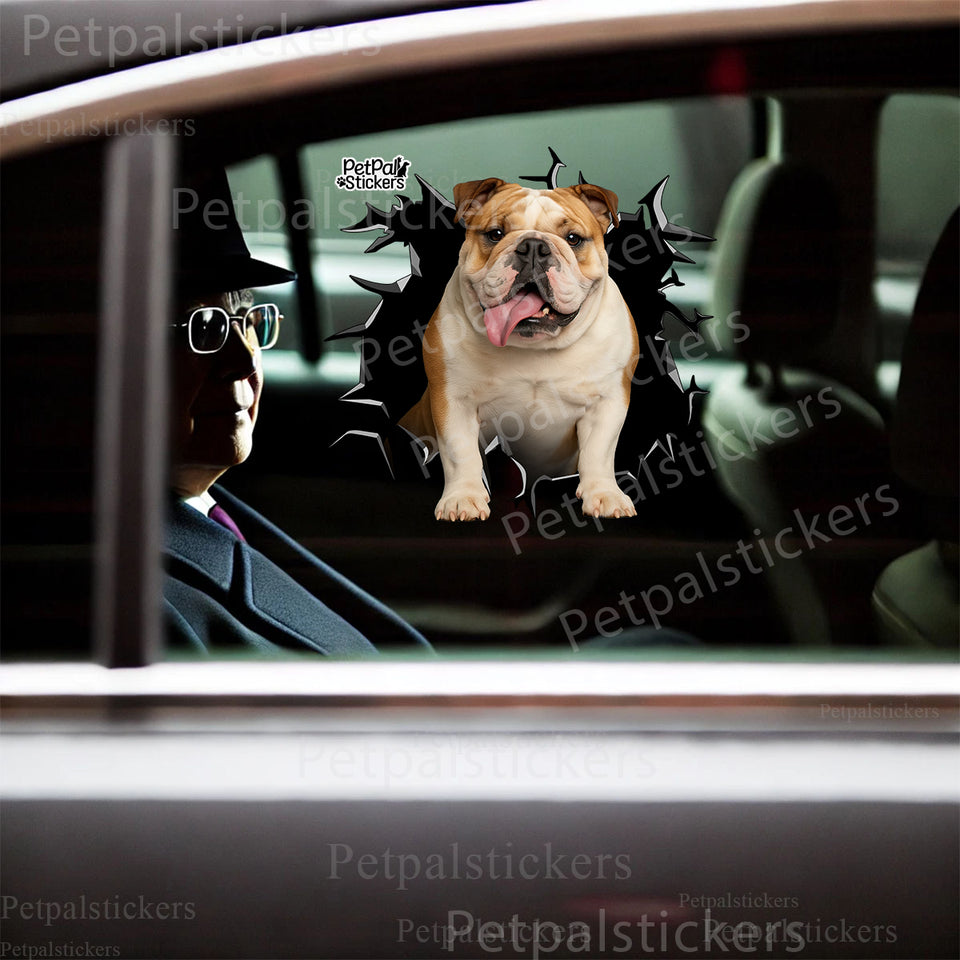 Glossy Black English Bulldog vinyl graphic applied smoothly onto a white car door exterior.