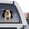 Detailed Black English Bulldog window sticker displayed on the rear glass of a truck.