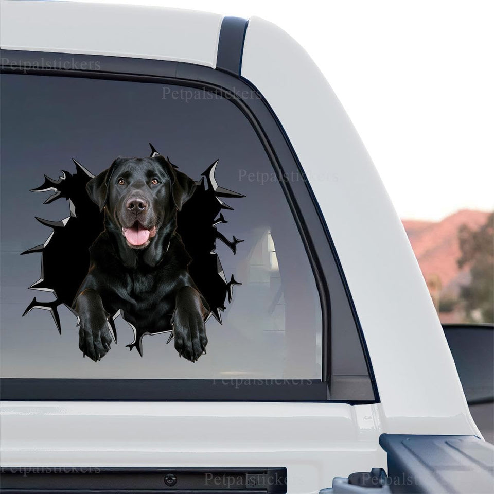 Clear standalone product design featuring an artistic Black Lab graphic decal.