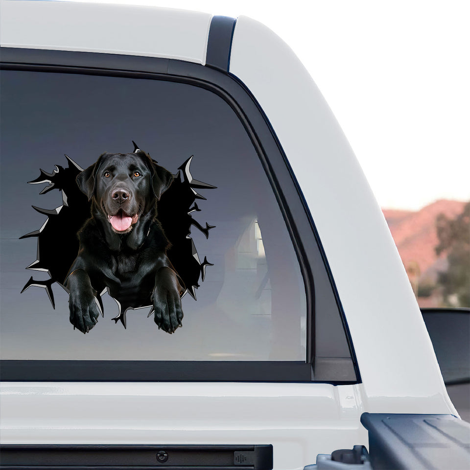 High-quality Black Lab sticker displayed proudly on the rear glass of a truck.