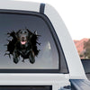 High-quality Black Lab sticker displayed proudly on the rear glass of a truck.