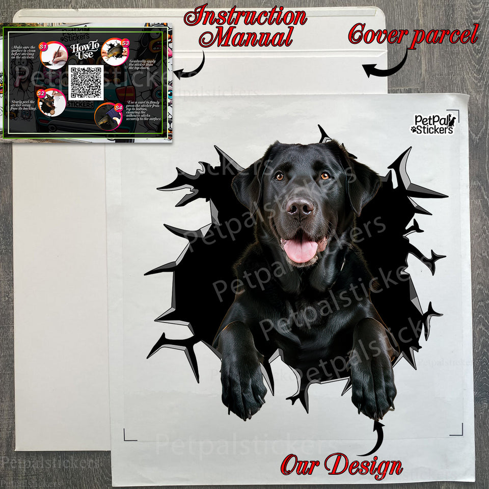 Protective retail package containing the Black Lab decal with easy instructions.