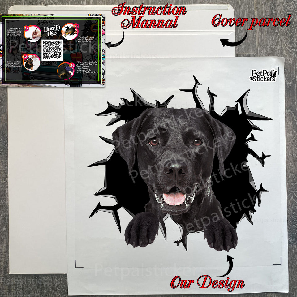 Protective shipping package containing the Black Lab decal and printed instructions.