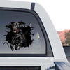 Clear vinyl Black Lab decal showcasing a standalone product design with vibrant details.