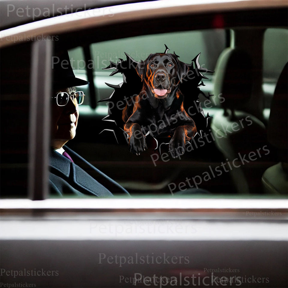 Glossy Black Labrador pet sticker smoothly applied to the exterior car door of a white vehicle.