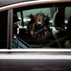 Glossy Black Labrador pet sticker smoothly applied to the exterior car door of a white vehicle.