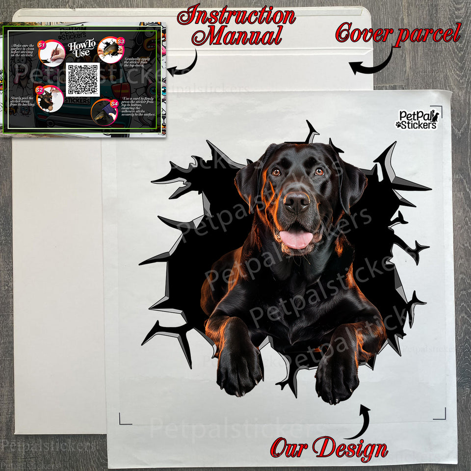Protective packaging package containing the Black Labrador car decal and clear instructions.