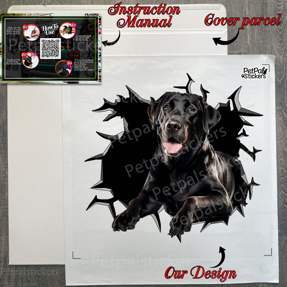 Secure package containing the Black Labrador Retriever sticker with step-by-step instructions.