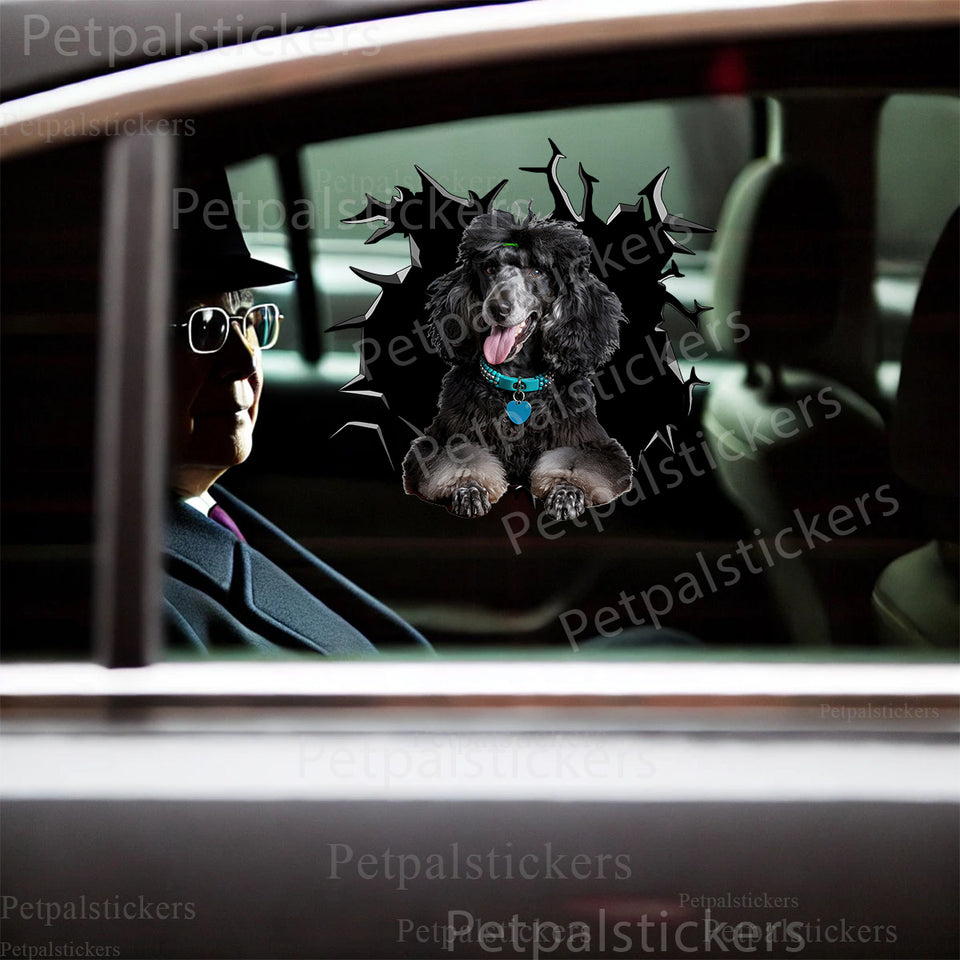 Glossy Black Poodle vinyl graphic sticker adhered smoothly to an exterior car door surface.