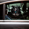Glossy Black Poodle vinyl graphic sticker adhered smoothly to an exterior car door surface.