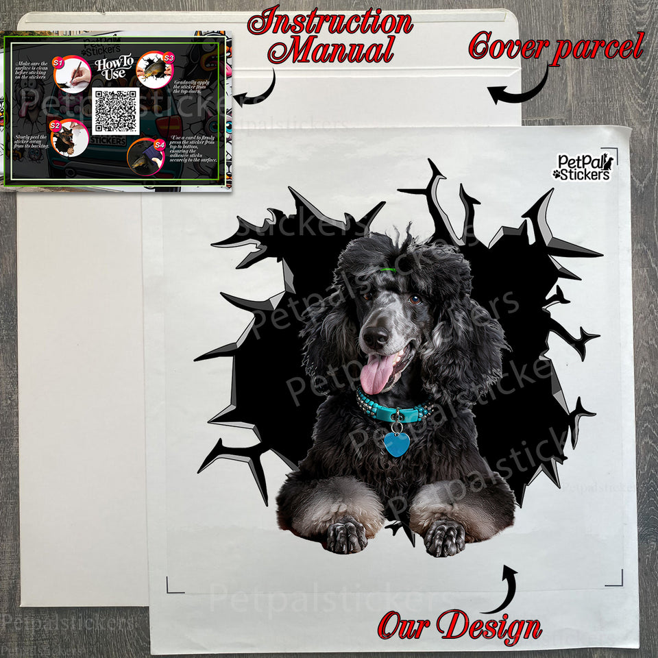 Unboxed Black Poodle sticker with protective package materials ready for gifting.