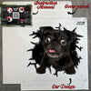 Unboxed Black Pug decal sheet next to its sturdy protective mailer package.