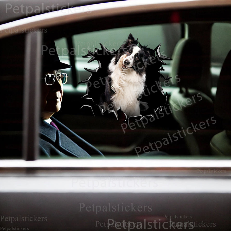 Funny Border Collie dog decal displayed cleanly on a smooth exterior car door.