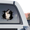 Vibrant graphic Border Collie sticker shown on the back rear window of a truck.