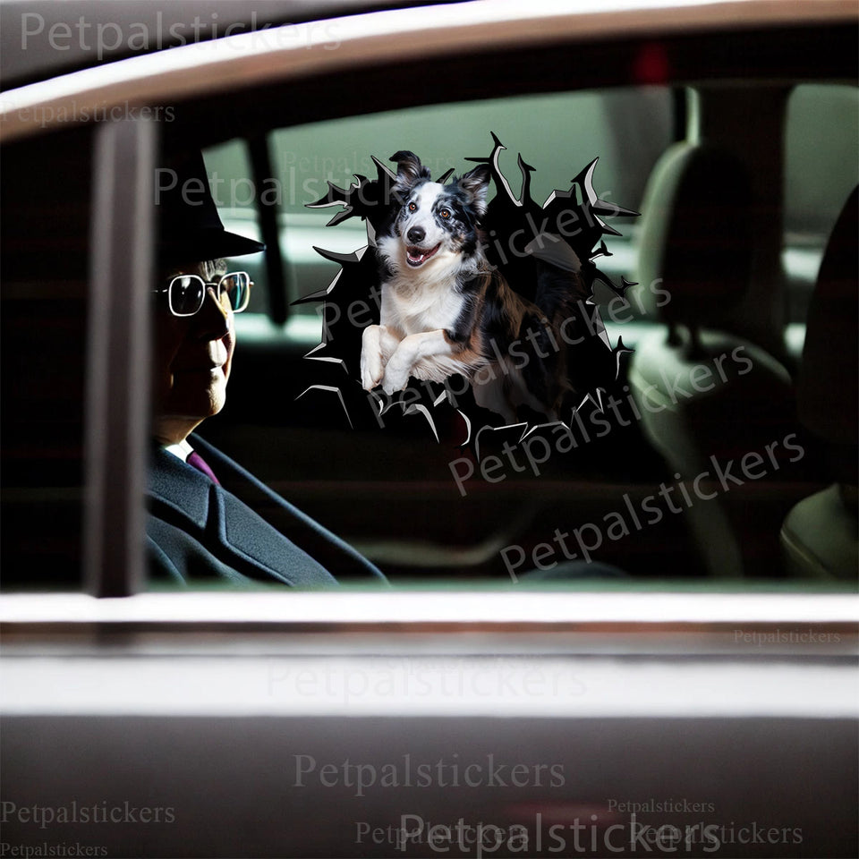 Vibrant Border Collie graphic decal displayed neatly on an exterior car door.