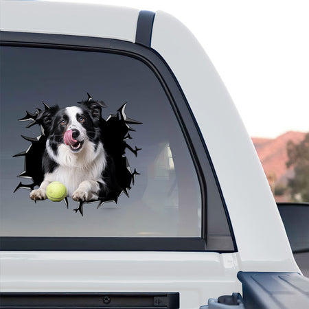 Whimsical Border Collie adhesive sticker placed humorously on a clean white toilet lid.