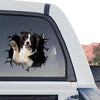 Vibrant Border Collie sticker artwork shown as a standalone product design on white.