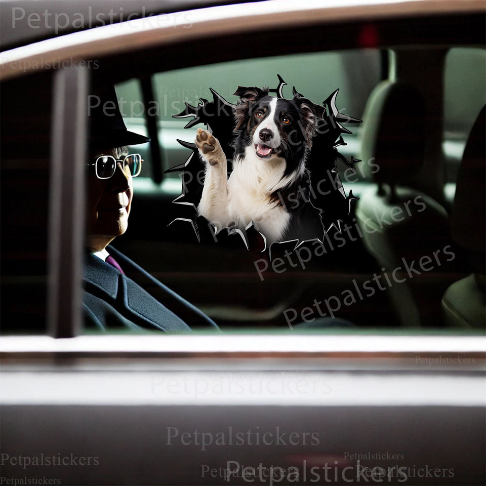 Playful Border Collie waving decal applied seamlessly onto a sleek black car door exterior.