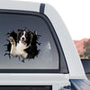 Glossy Border Collie broken glass decal decorating the rear window of a truck outdoors.