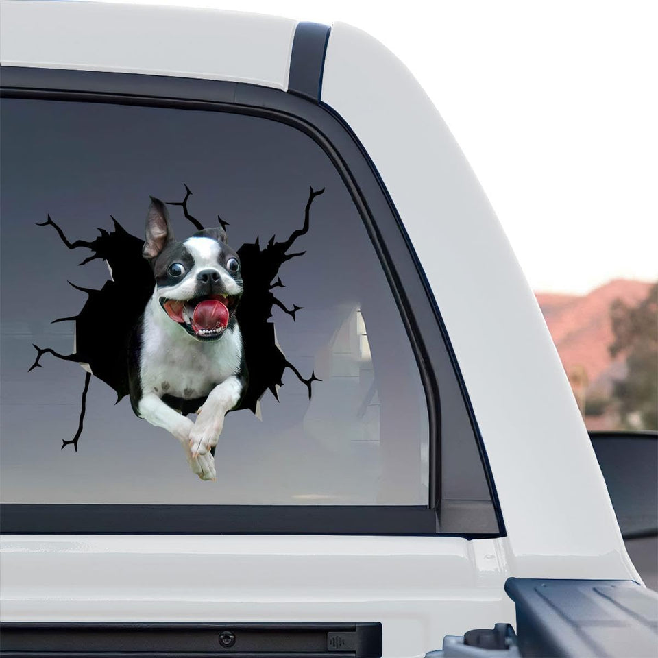 Clear vinyl Boston Terrier standalone product design featuring glossy print details.