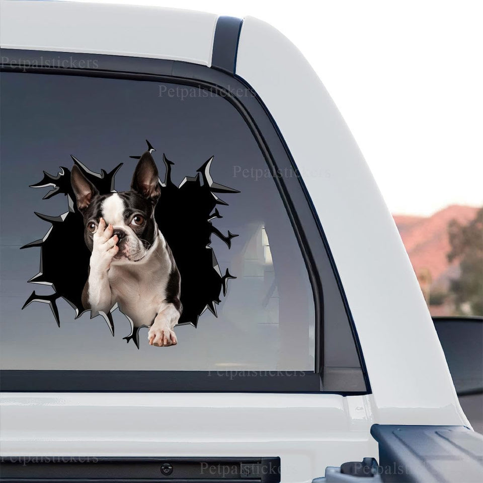Boston Terrier standalone product design sticker with vibrant glossy graphic artwork.