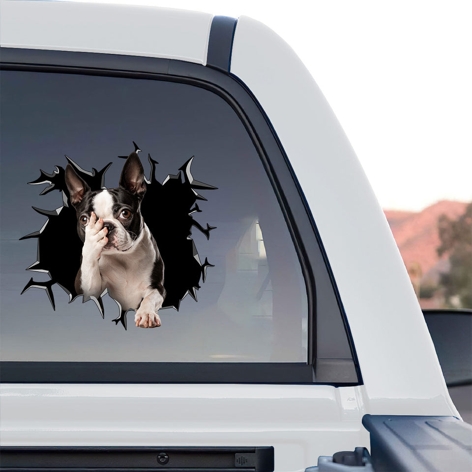 Vibrant Boston Terrier dog sticker displayed prominently on the back window of a truck.