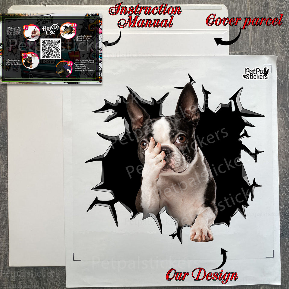 Unboxing the Boston Terrier vinyl decal complete with application package and guide.