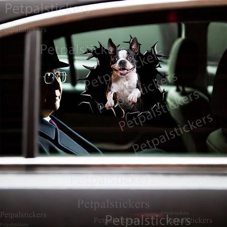 Humorous Boston Terrier peeking sticker placed neatly on a modern toilet