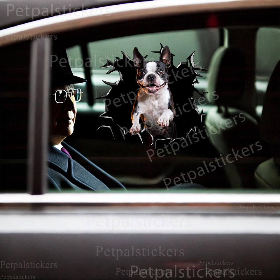 Charming Boston Terrier decal applied smoothly to a vehicle car door