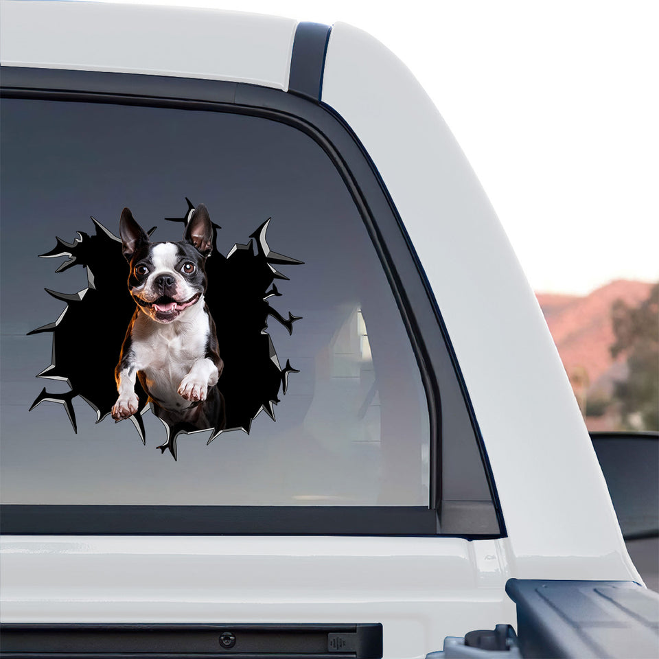 Playful Boston Terrier sticker displayed on the rear window of a truck