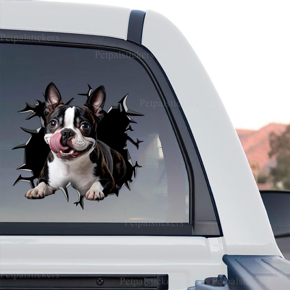 Boston Terrier graphic sticker featuring a standalone product design with a tongue-out cracked window look.