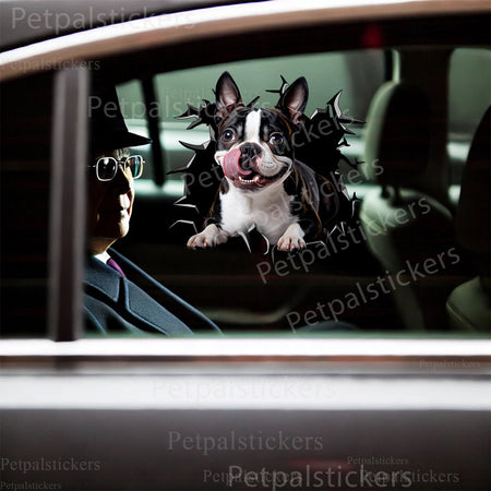 Humorous dog face decal applied onto a smooth porcelain toilet tank lid.