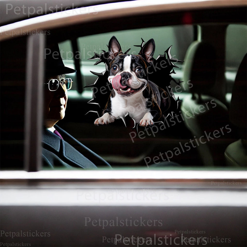 Funny Boston Terrier vinyl sticker applied smoothly onto a car door panel outdoors.