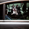 Funny Boston Terrier vinyl sticker applied smoothly onto a car door panel outdoors.