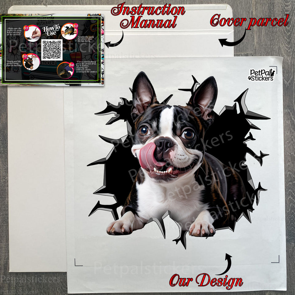 Carefully packed vinyl decal shown alongside the protective package and instructions.