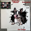 Carefully packed vinyl decal shown alongside the protective package and instructions.