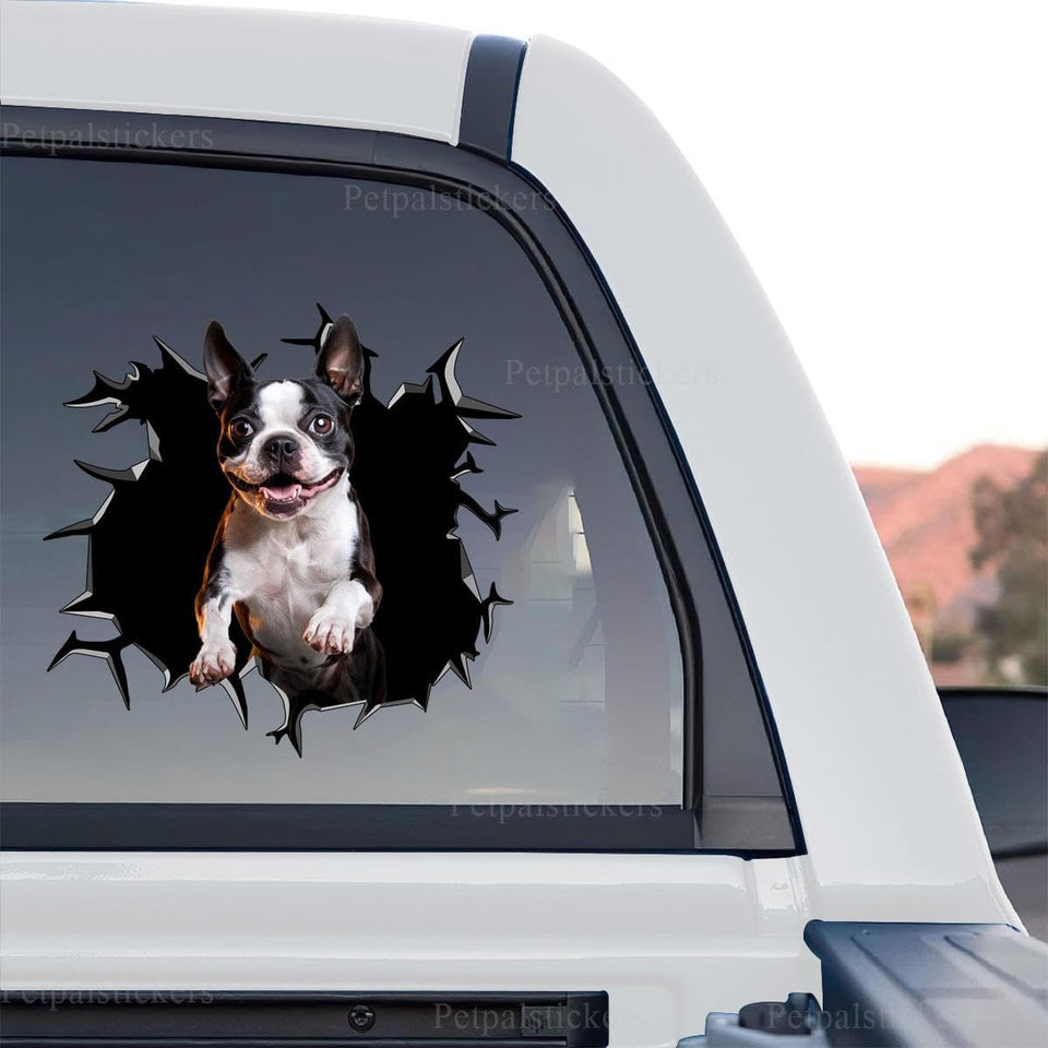 Boston Terrier decal standalone product design showcasing expressive eyes and pointed ears on transparent backing.