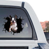 Boston Terrier decal standalone product design showcasing expressive eyes and pointed ears on transparent backing.