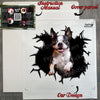 Secure protective package holding the Boston Terrier decal with included application guide.