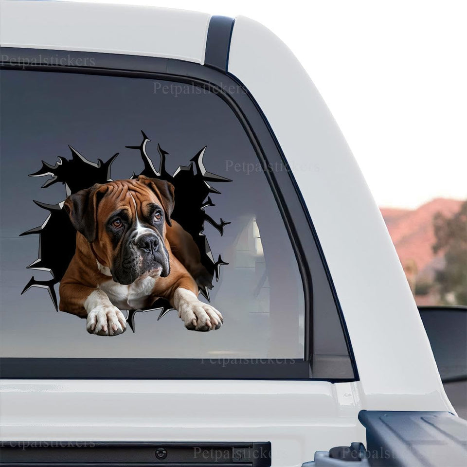 Vibrant Boxer   And graphic decal shown as a standalone product design on transparent film.