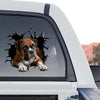 Vibrant Boxer   And graphic decal shown as a standalone product design on transparent film.