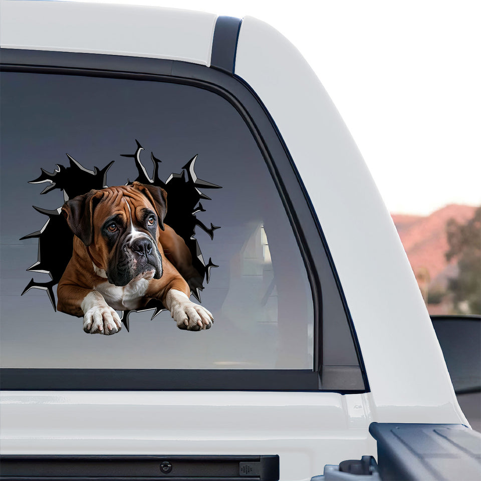 Glossy Boxer   And vinyl graphic displayed on the rear window of a truck.