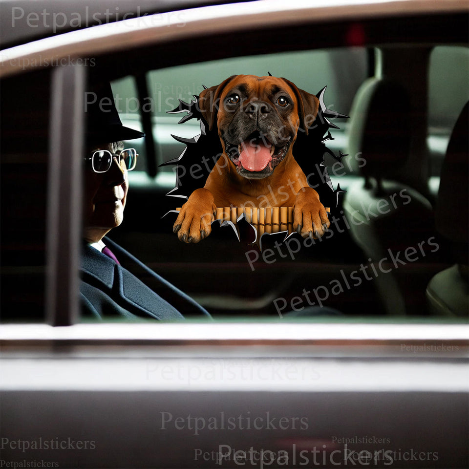 Glossy Boxer vinyl decal displayed neatly across a passenger car door surface.