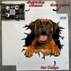 Protective package envelope holding the Boxer decal along with guide instructions.