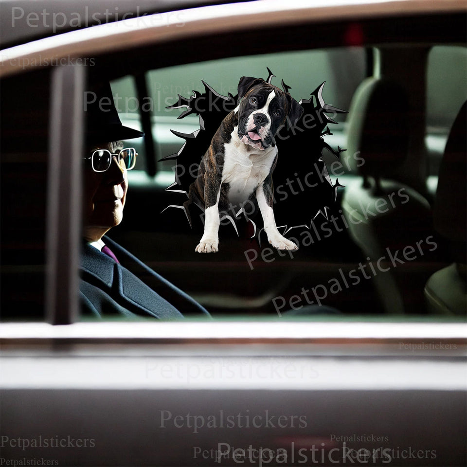Glossy Boxer Dog vinyl sticker perfectly positioned on the exterior car door panel.