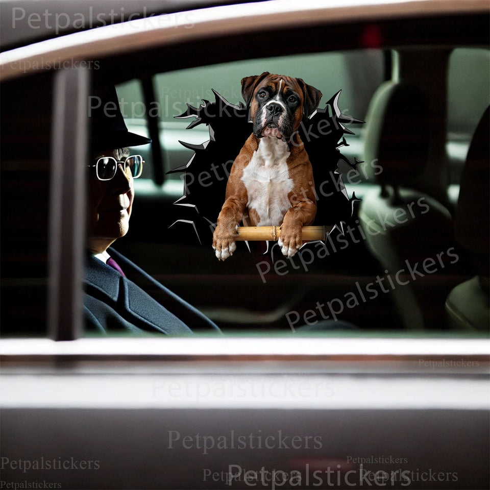 Glossy German Boxer graphic sticker applied smoothly to the exterior car door of a white sedan.