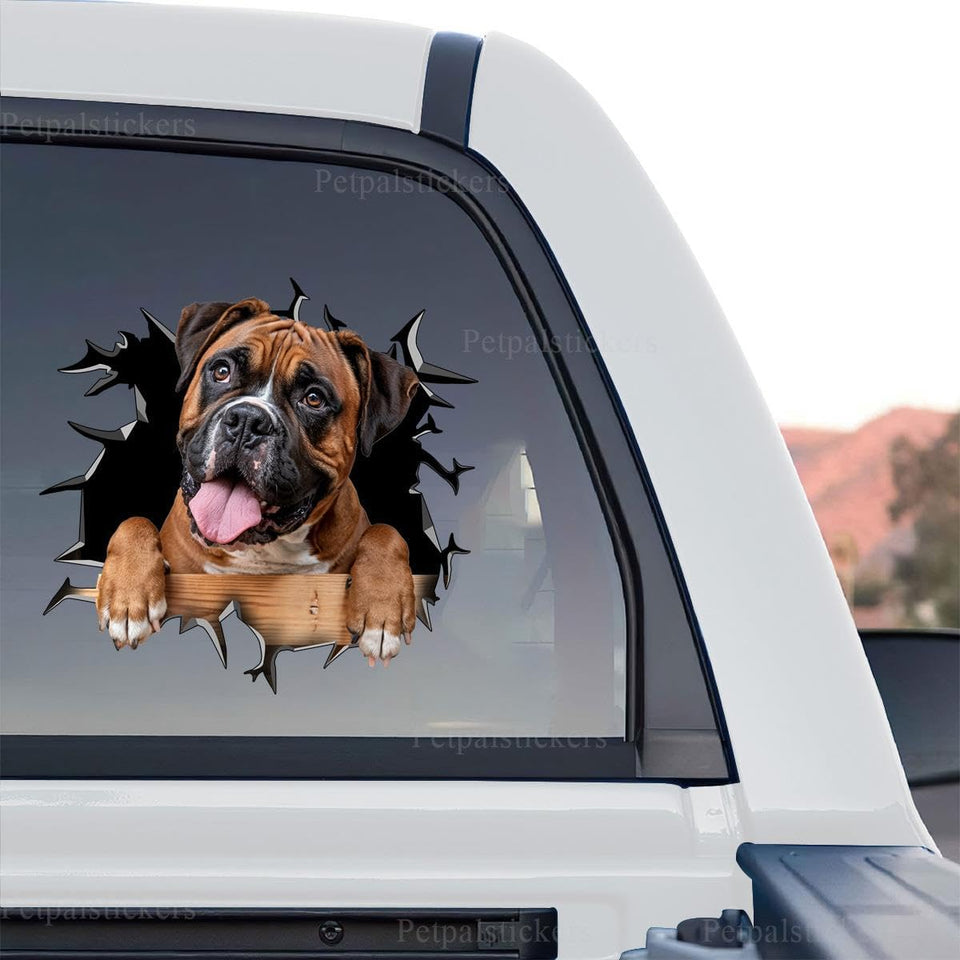 Boxer Dog artwork featuring clear vinyl film in a standalone product design layout.