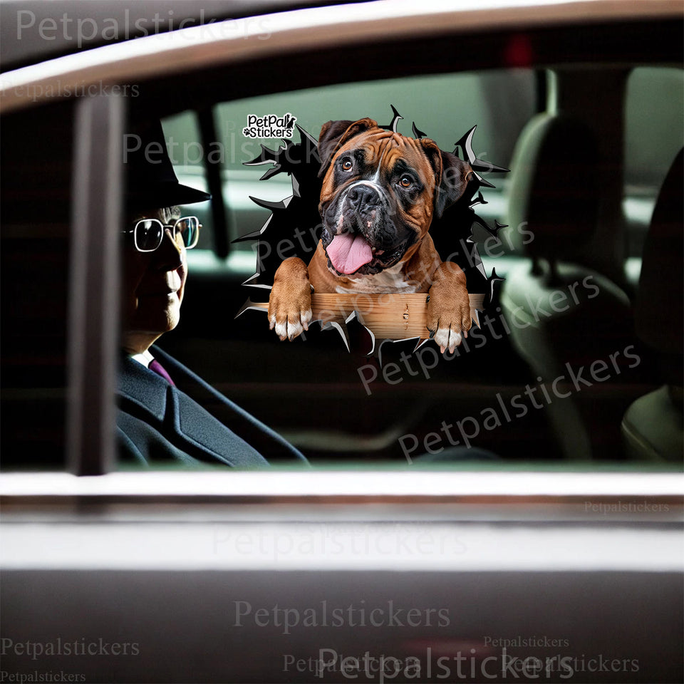 Glossy Boxer Dog decal applied smoothly to the exterior car door surface.